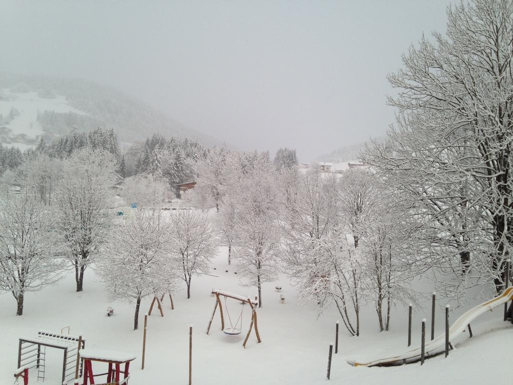 Alpenhotel Wildschoenau B&B מראה חיצוני תמונה