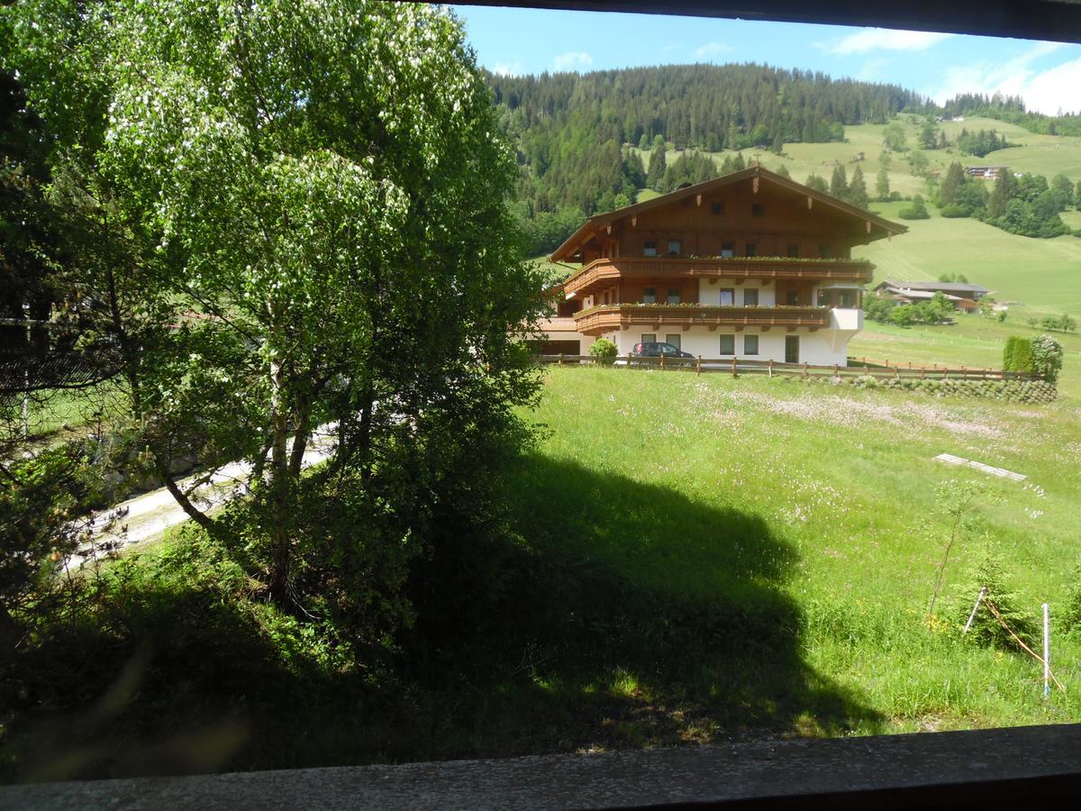Alpenhotel Wildschoenau B&B מראה חיצוני תמונה